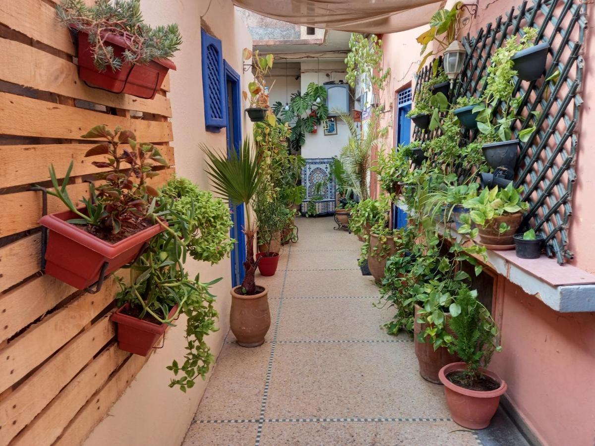 Dar Rmila Appartement *